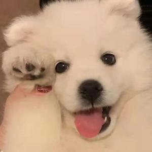 成人❌吸乳18禁羞羞网站直接看
